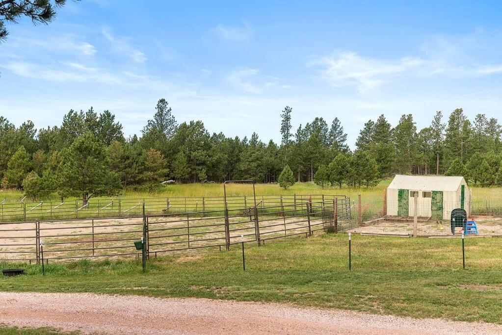 Papa'S Place On Willow Creek Custer Exteriér fotografie